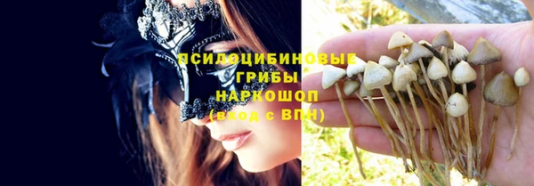 круглые Белокуриха