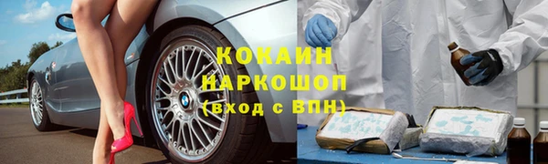 мяу мяу мука Беломорск