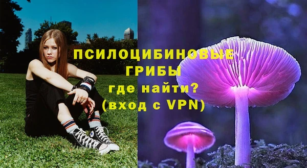 мяу мяу мука Беломорск